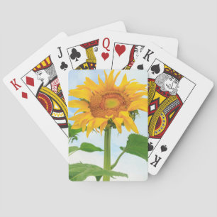 Sunflower, community garden, Moses Lake, WA, USA Playing Cards