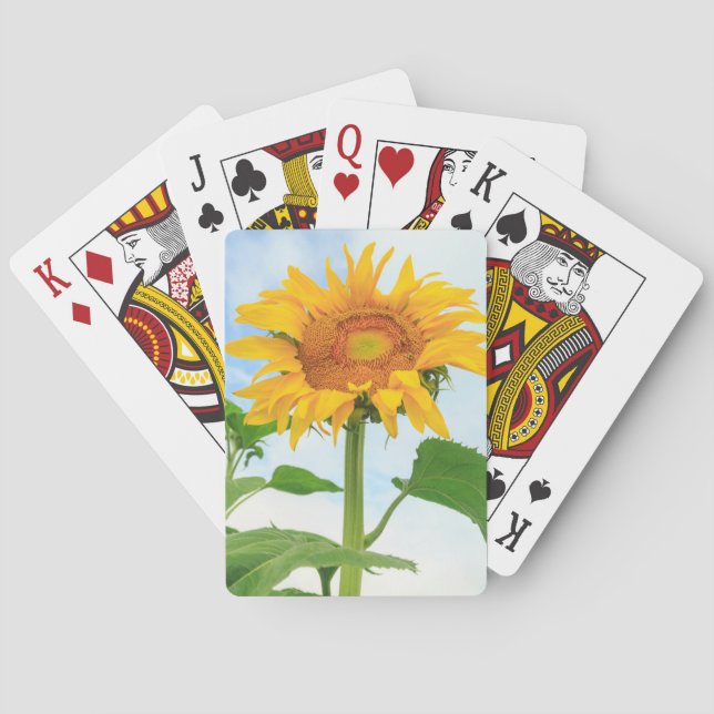 Sunflower, community garden, Moses Lake, WA, USA Playing Cards (Back)
