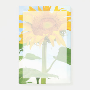 Sunflower, community garden, Moses Lake, WA, USA Post-it Notes