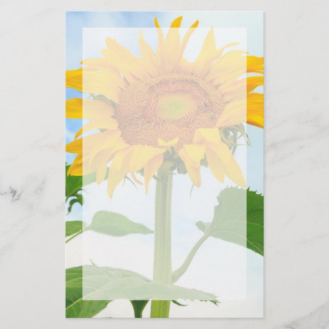 Sunflower, community garden, Moses Lake, WA, USA Stationery (Front)