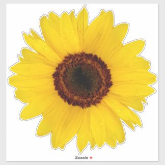 Sunflower Contour Sticker