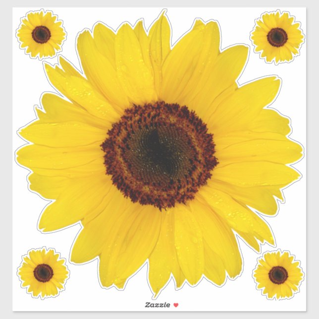 Sunflower Contour Sticker Bonus (Sheet)