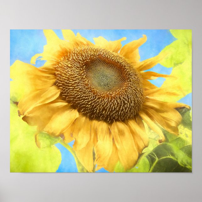 Sunflower Country Rustic Yellow Watercolor Poster (Front)