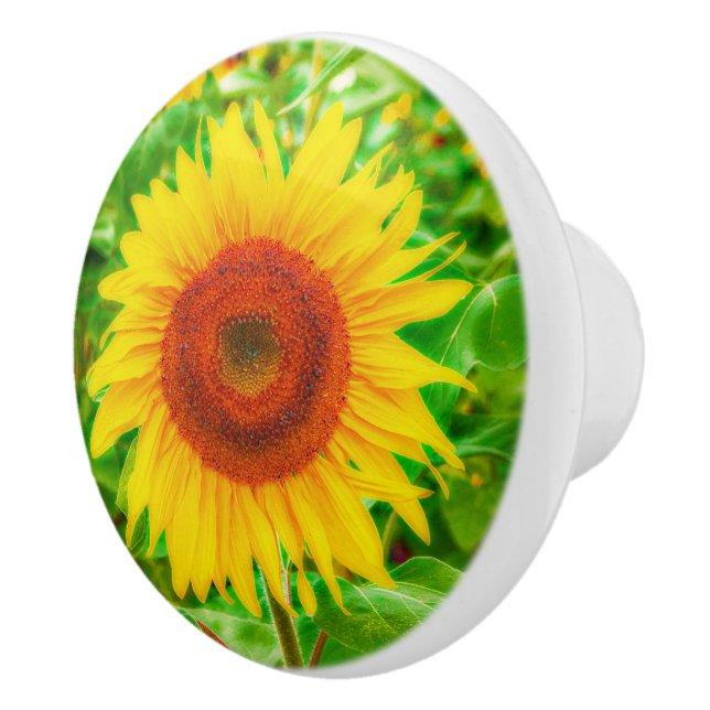 Sunflower Country Yellow Green Bright Floral Ceramic Knob (Right)