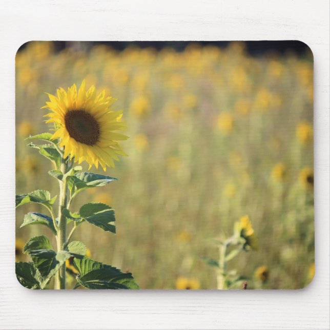 Sunflower Day Mouse Pad (Front)