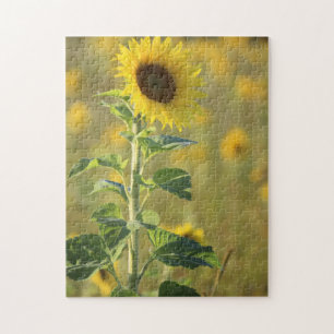 Sunflower Day Puzzle