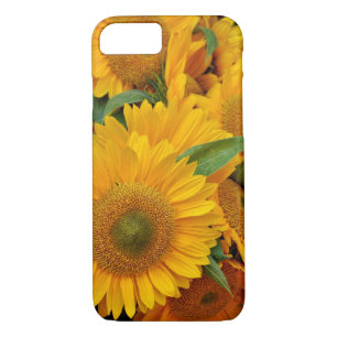 Sunflower Design iPhone 8/7 Case