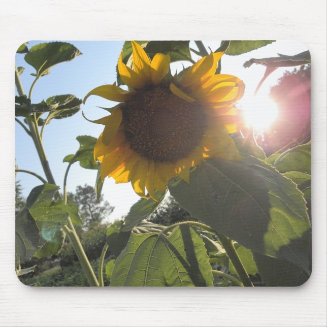 Sunflower Down Mouse Mat (Front)