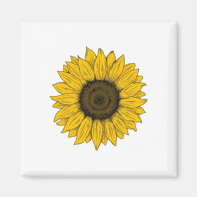 Sunflower Drawing Magnet (Front)
