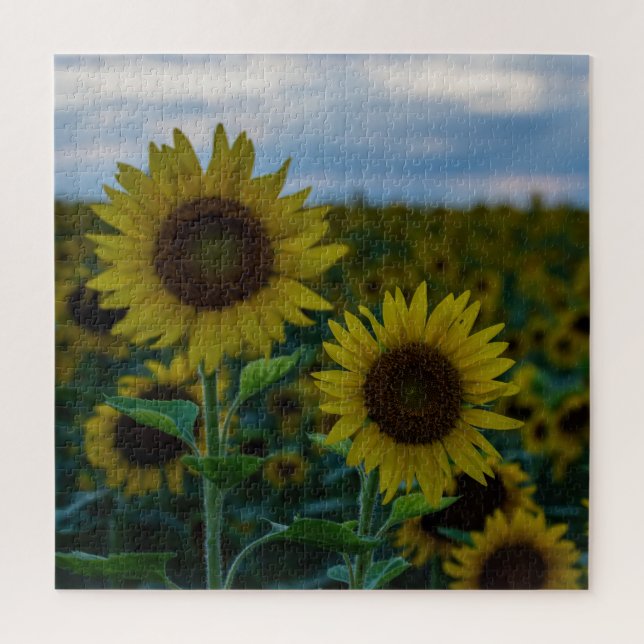 Sunflower Duo Close Up Jigsaw Puzzle (Vertical)