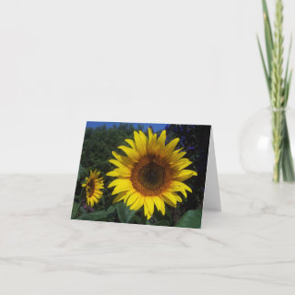 Sunflower Duo Notecard
