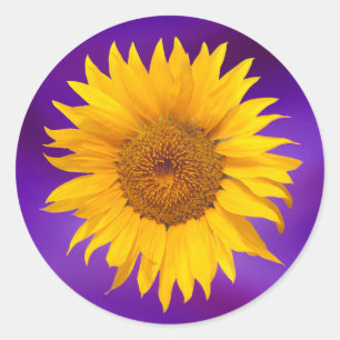 Sunflower Elegant Purple Wedding Favour Classic Round Sticker