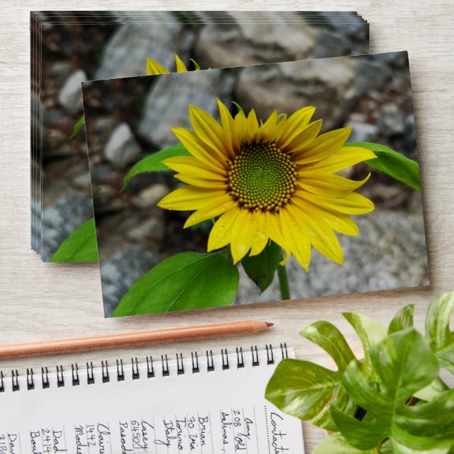 Sunflower Envelope (Stacked)