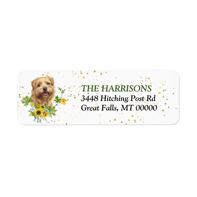 Sunflower Eucalyptus Norfolk Terrier (Front)