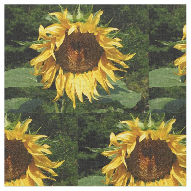 Sunflower Fabric (Close Up)