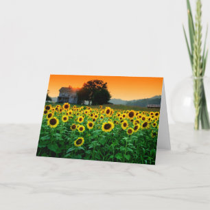 Sunflower Farm Card