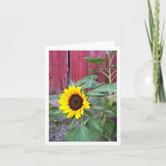 Sunflower Farm Notecard (Front)