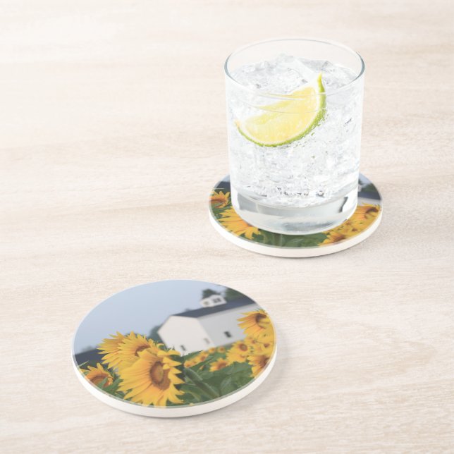 Sunflower Farm Sandstone Coaster (Side)