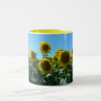 Sunflower Fest--Mug Two-Tone Coffee Mug