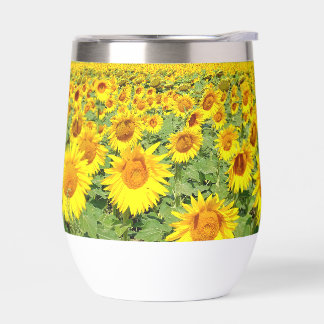 Sunflower field