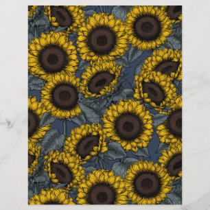 Sunflower field 2