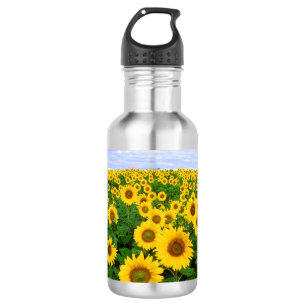 Sunflower Field 532 Ml Water Bottle