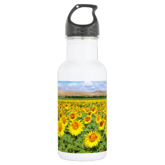Sunflower field 532 ml water bottle