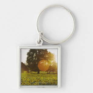 Sunflower Field At Sunset With A Barn Key Ring