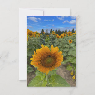 Sunflower Field & Bee Card