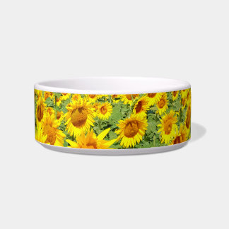 Sunflower field bowl