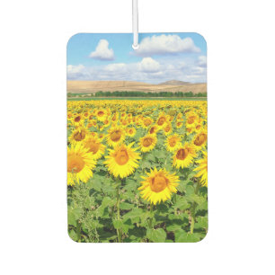 Sunflower field car air freshener