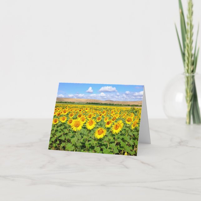 Sunflower field card (Front)