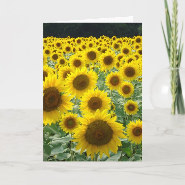 Sunflower Field Card (Front)