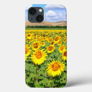 Sunflower field iPhone 13 case