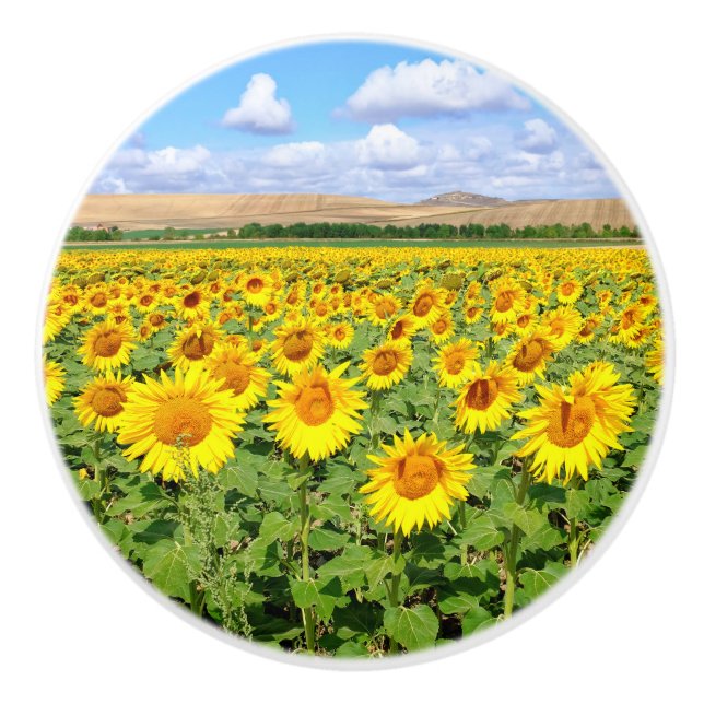 Sunflower field ceramic knob (Front)