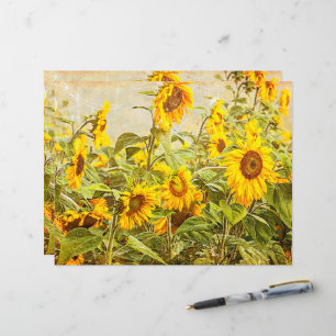 Sunflower Field Decoupage Yellow Vintage Antique
