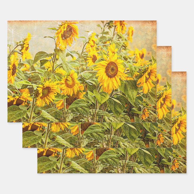 Sunflower Field Decoupage Yellow Vintage Antique Wrapping Paper Sheet (Set)