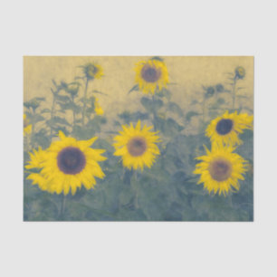 Sunflower Field Faded Vintage Yellow Art Tissue Paper