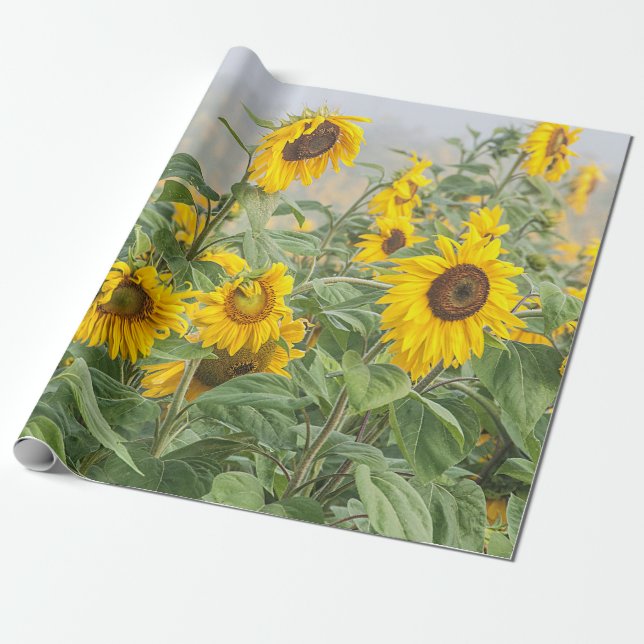 Sunflower Field Green Yellow Beautiful Decoupage Wrapping Paper (Unrolled)