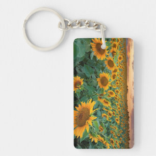 Sunflower Field in Longmont, Colorado Key Ring
