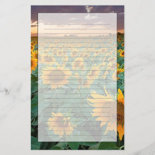 Sunflower Field in Longmont, Colorado Stationery