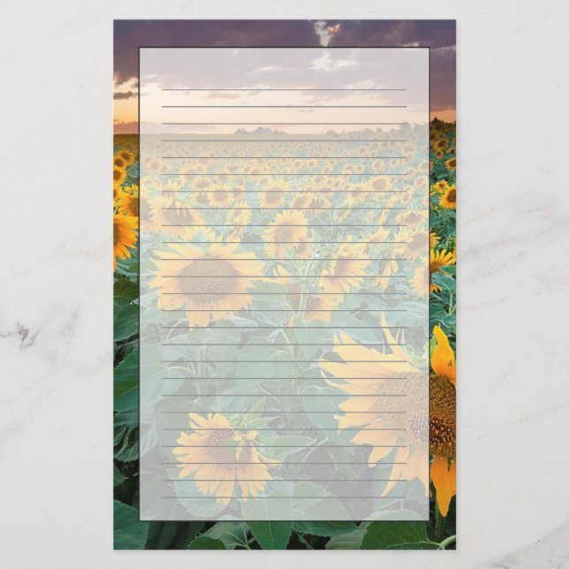Sunflower Field in Longmont, Colorado Stationery (Front)