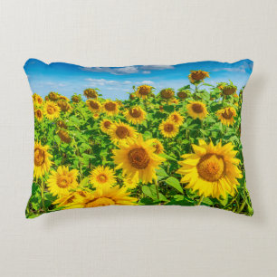 Sunflower field in summer sunny day. Picturesque l Decorative Cushion