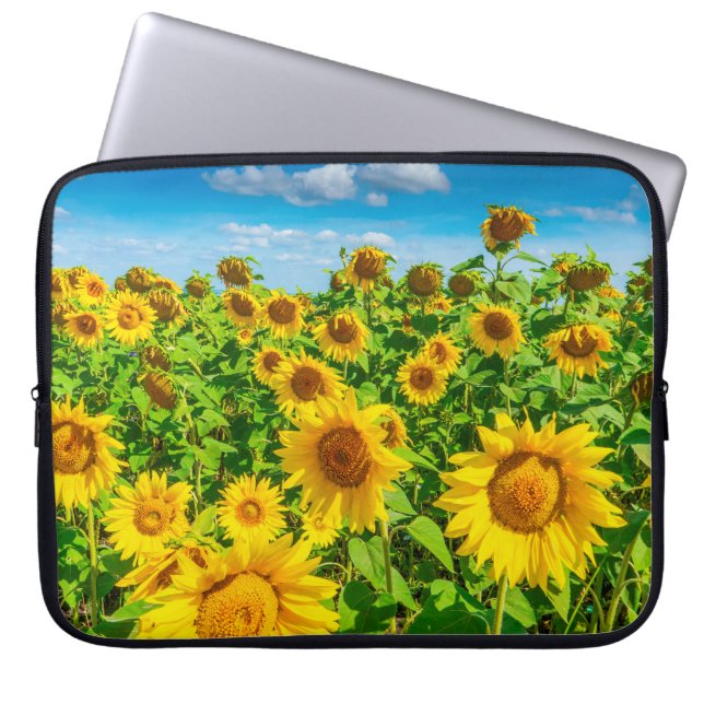 Sunflower field in summer sunny day. Picturesque l Laptop Sleeve (Front)