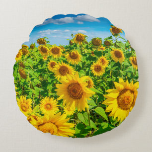 Sunflower field in summer sunny day. Picturesque l Round Cushion