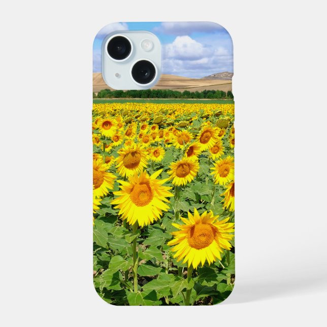 Sunflower field iPhone 15 case (Back)