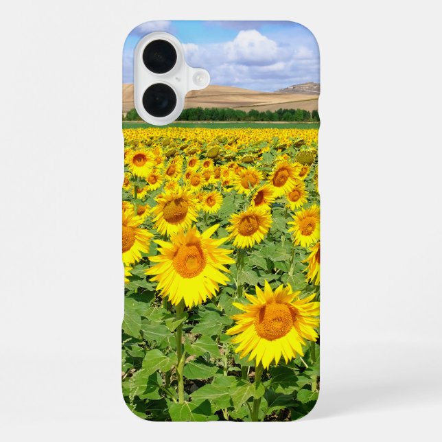 Sunflower field iPhone case (Back)