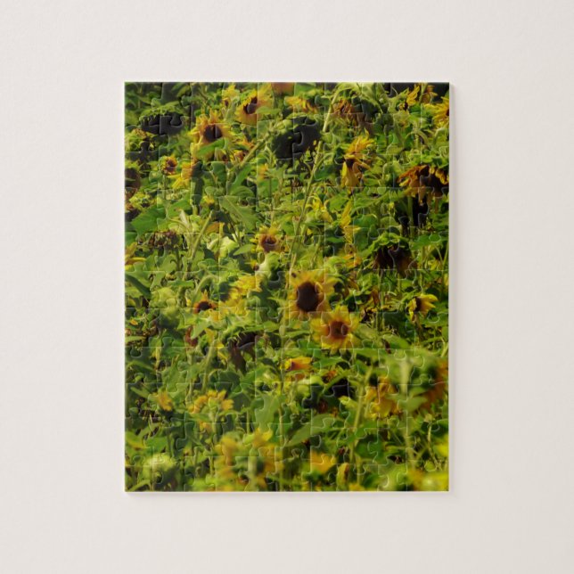 Sunflower field jigsaw puzzle (Vertical)