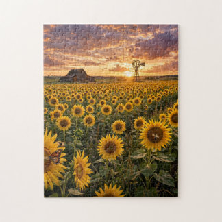 Sunflower Field Jigsaw Puzzle