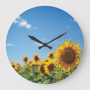 Sunflower field large clock